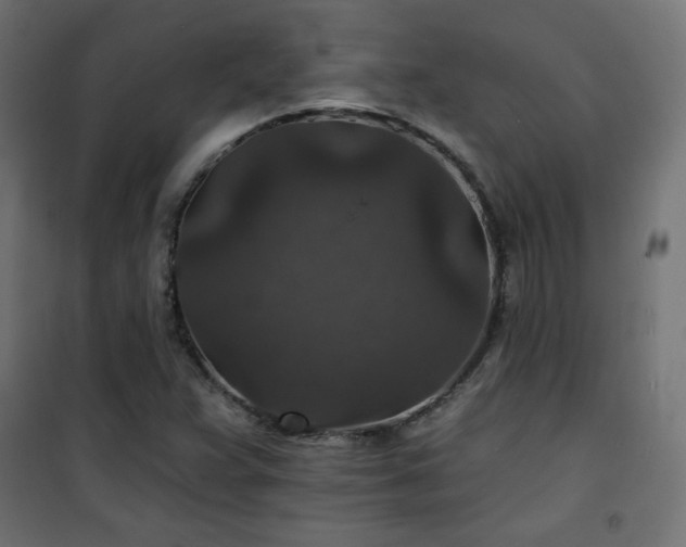 X0000101141359200807071116