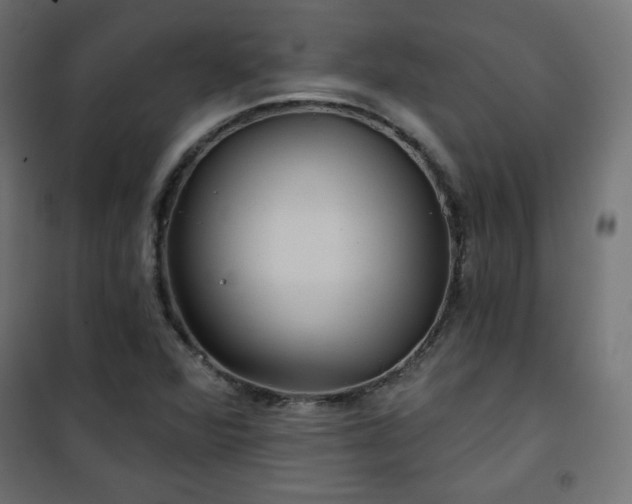 X0000101141360200807071116