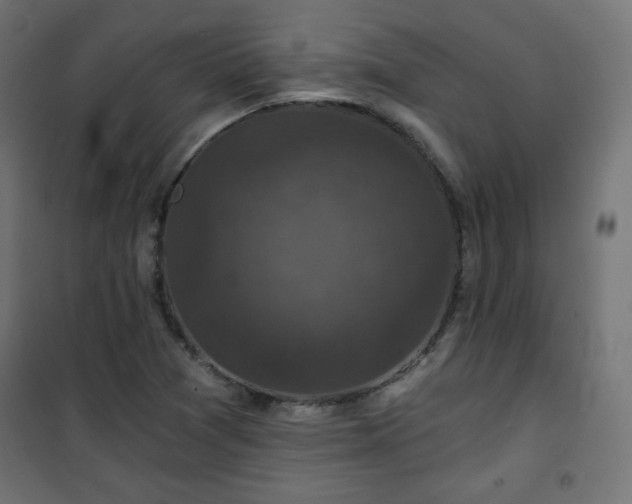 X0000101141361200807071116