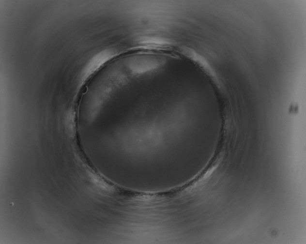 X0000101141362200807071116