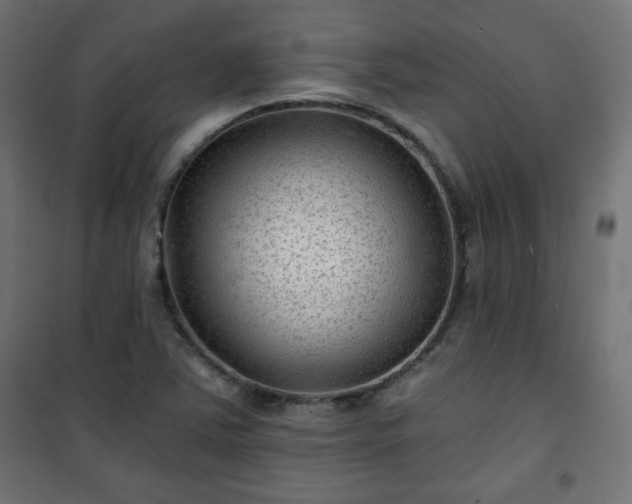 X0000101141363200807071116