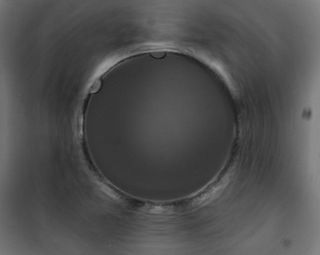 X0000101141365200807071116