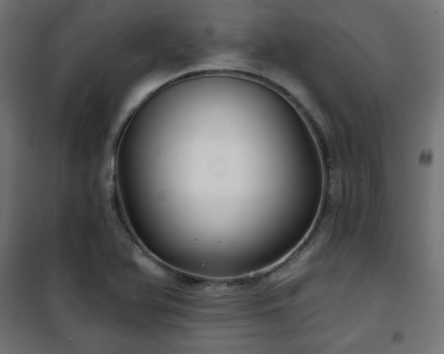 X0000101141366200807071116