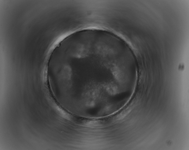 X0000101141367200807071116