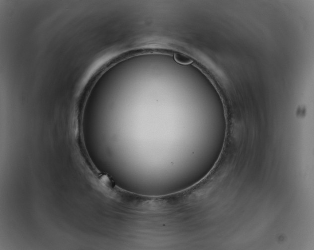 X0000101141368200807071116