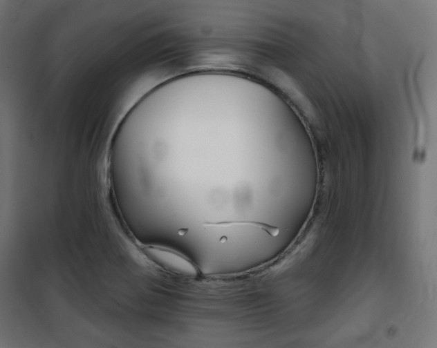 X0000101141370200807071116