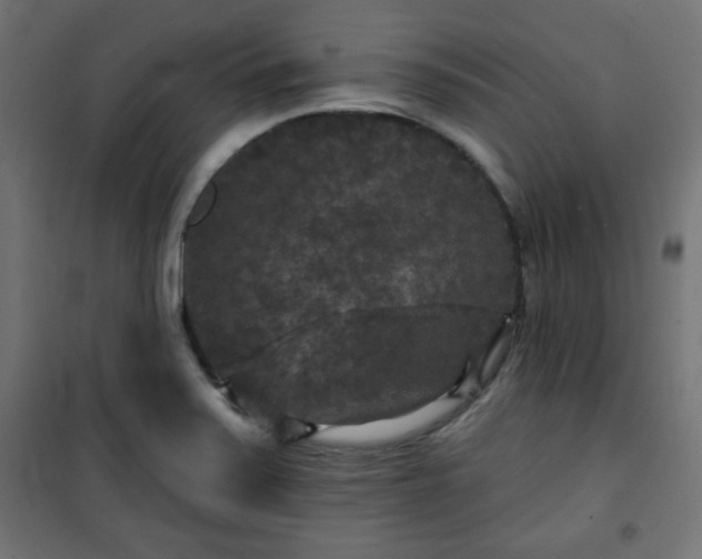 X0000101141371200807071116