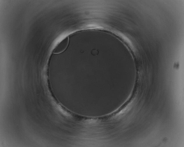 X0000101141373200807071116