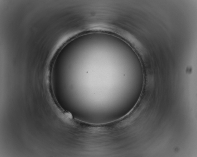 X0000101141376200807071116