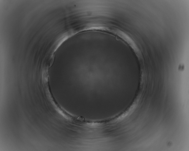 X0000101141377200807071116