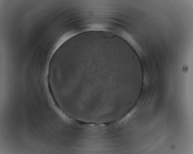 X0000101141378200807071116