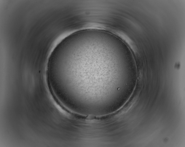 X0000101141379200807071116