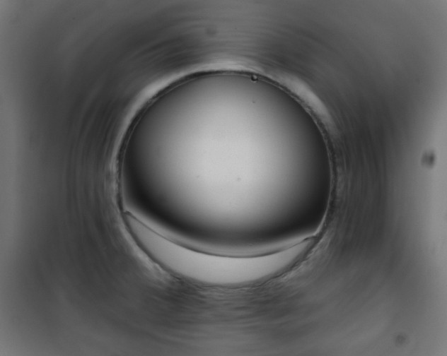 X0000101141380200807071116