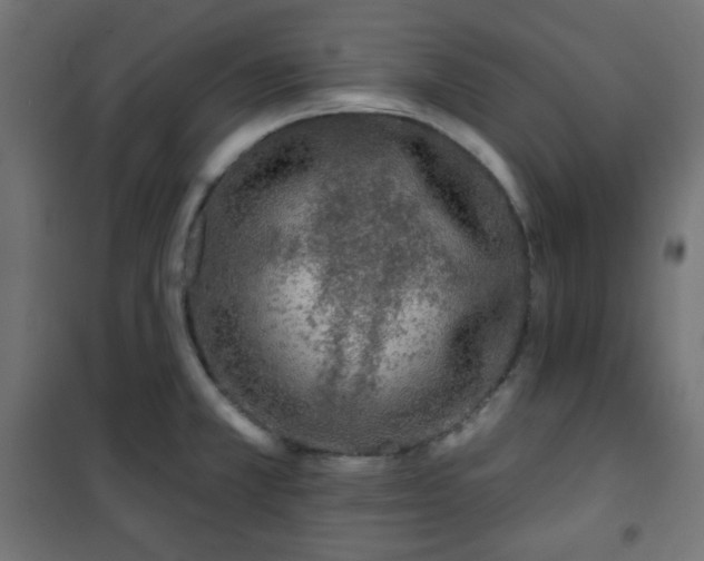 X0000101141381200807071116