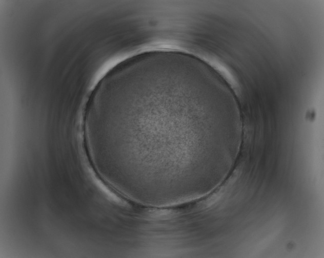 X0000101141382200807071116