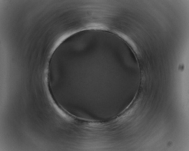 X0000101141383200807071116