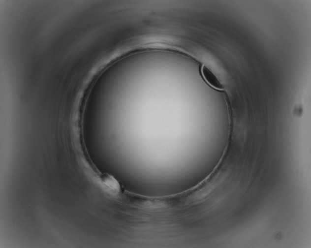 X0000101141384200807071116