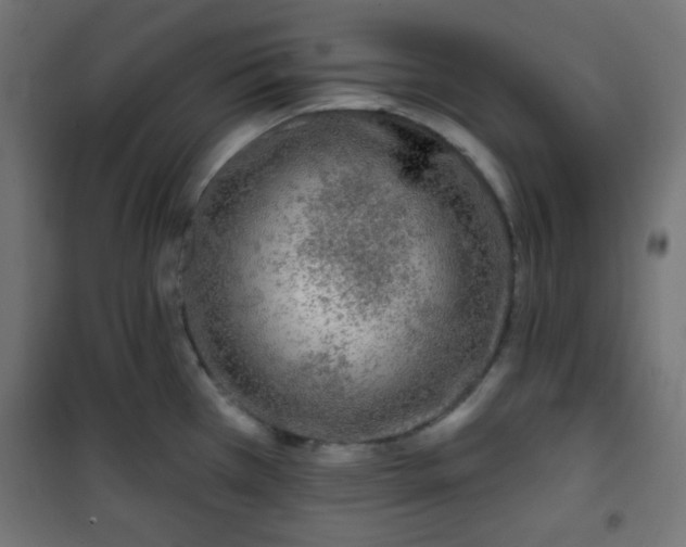 X0000101141385200807071116