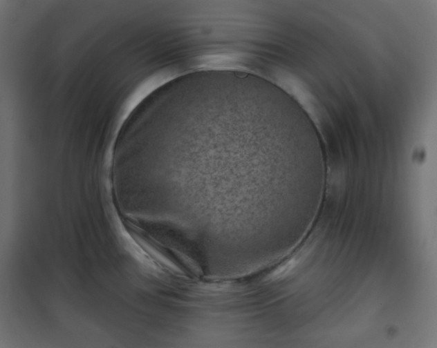 X0000101141386200807071116