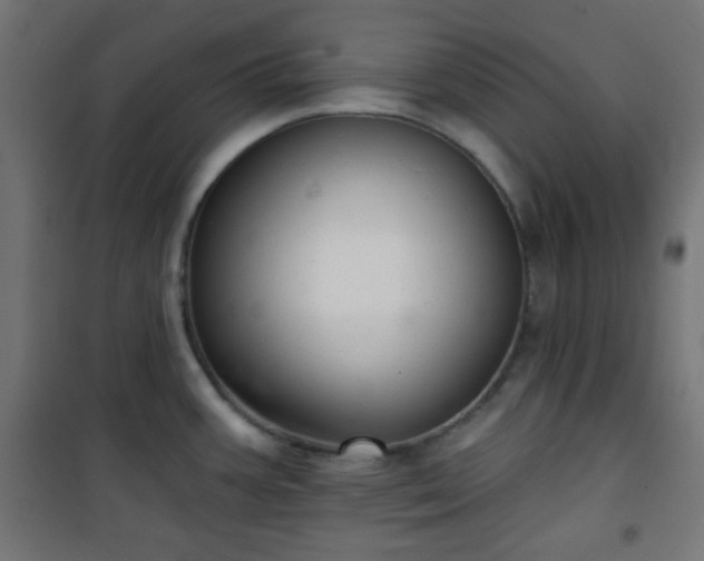 X0000101141387200807071116