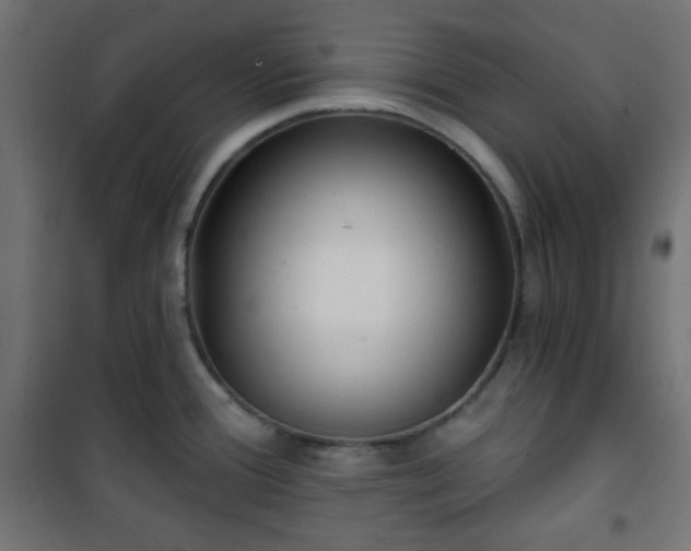 X0000101141388200807071116