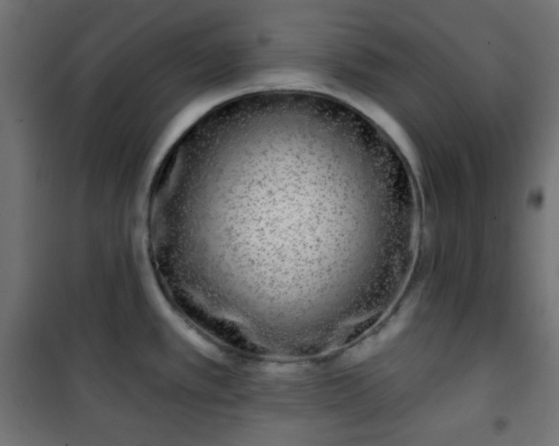 X0000101141389200807071116