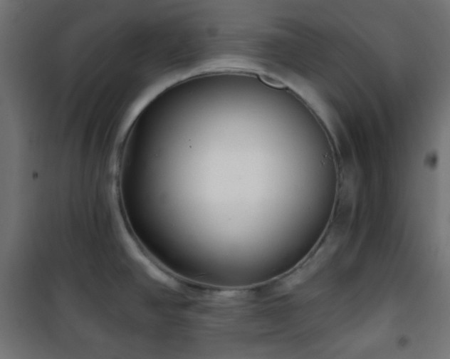 X0000101141390200807071116