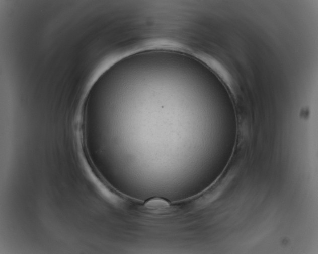 X0000101141391200807071116