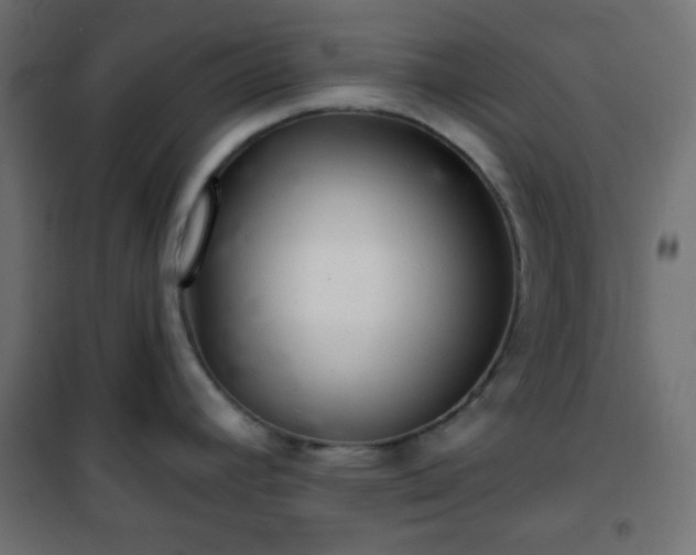 X0000101141392200807071116