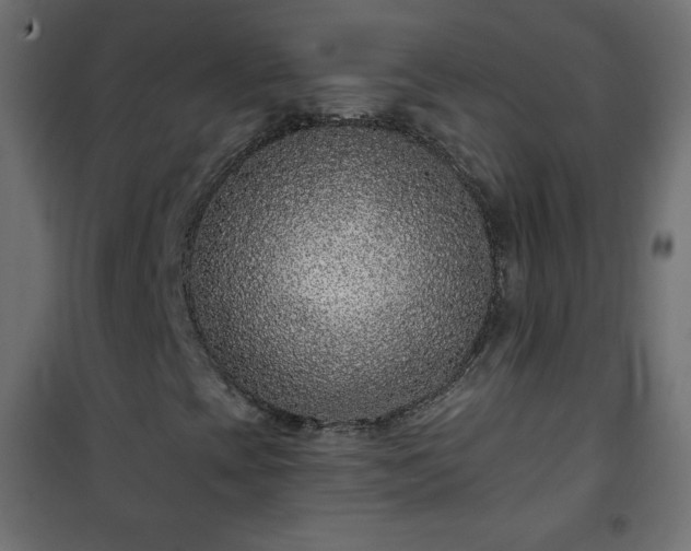 X0000101141393200807071115