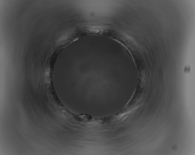 X0000101141394200807071115