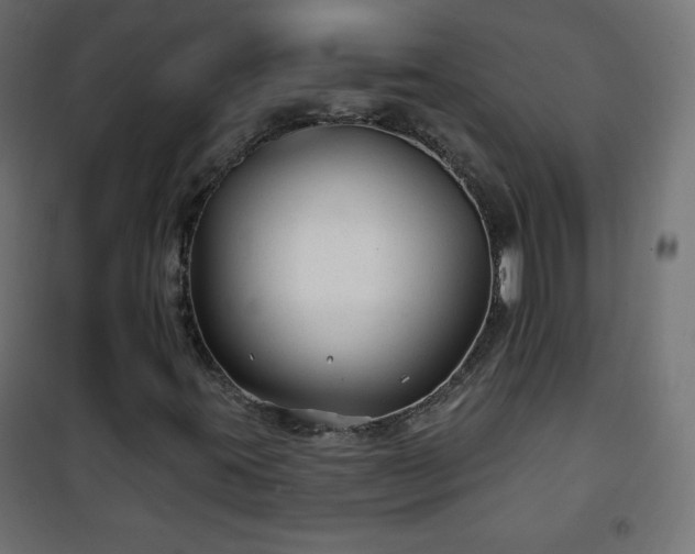 X0000101141395200807071115