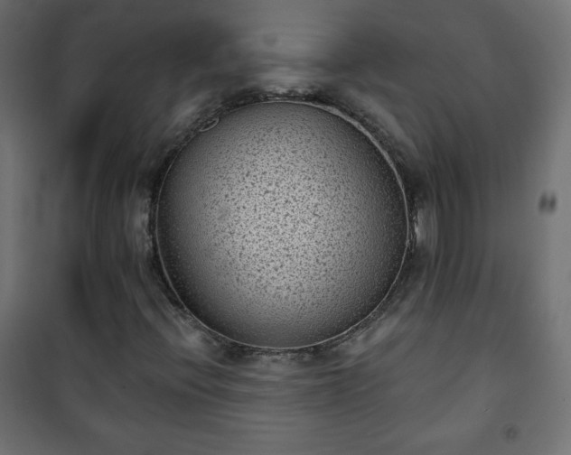 X0000101141396200807071115