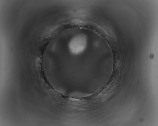 X0000101141397200807071115