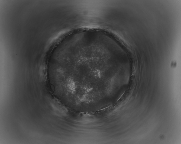 X0000101141398200807071115