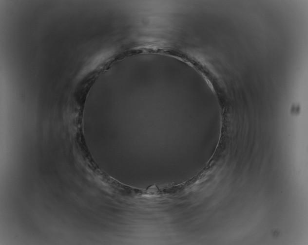 X0000101141399200807071115