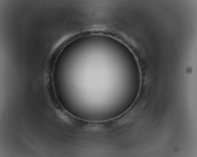 X0000101141400200807071115