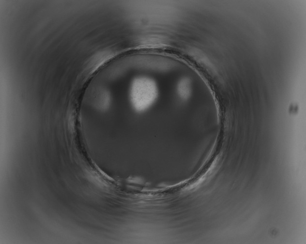 X0000101141401200807071115