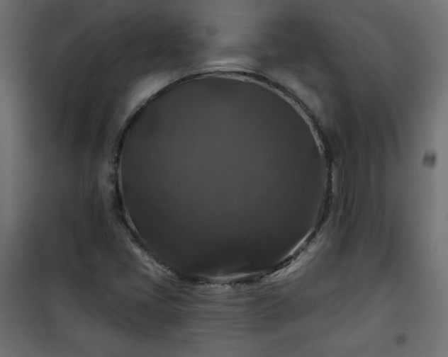 X0000101141405200807071115