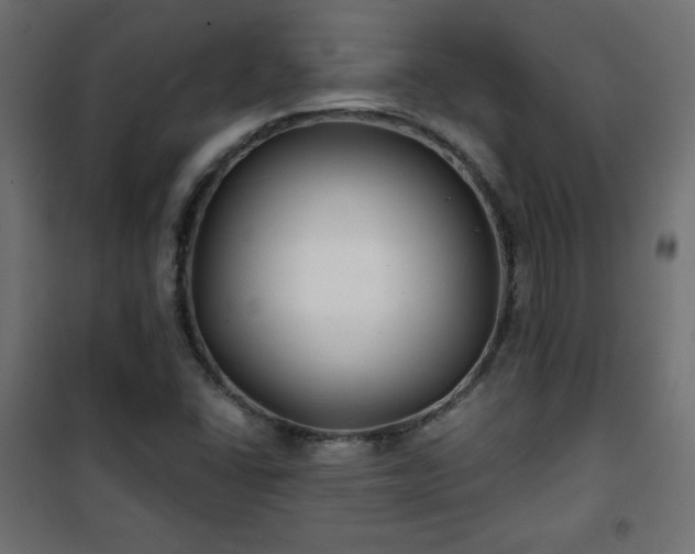 X0000101141406200807071115