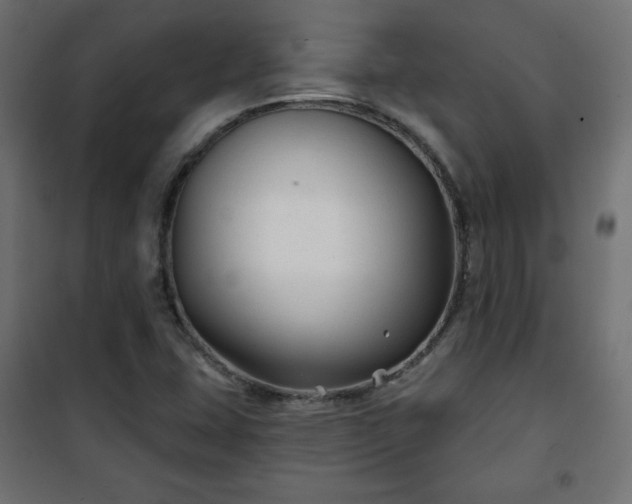 X0000101141407200807071115