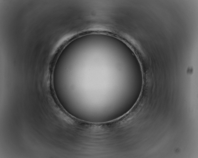 X0000101141408200807071115