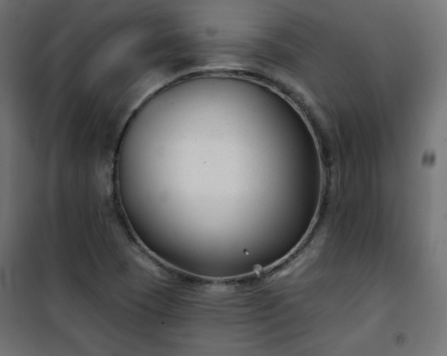 X0000101141409200807071115