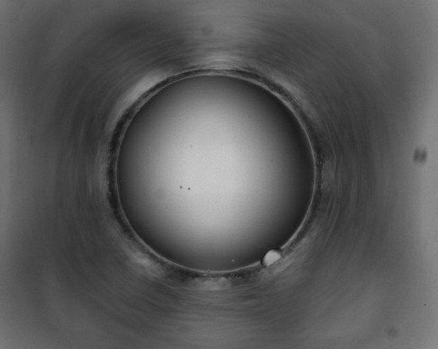 X0000101141410200807071115