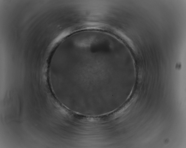 X0000101141411200807071115