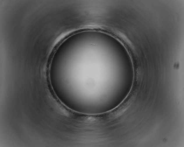 X0000101141412200807071115