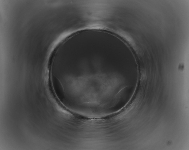 X0000101141414200807071115