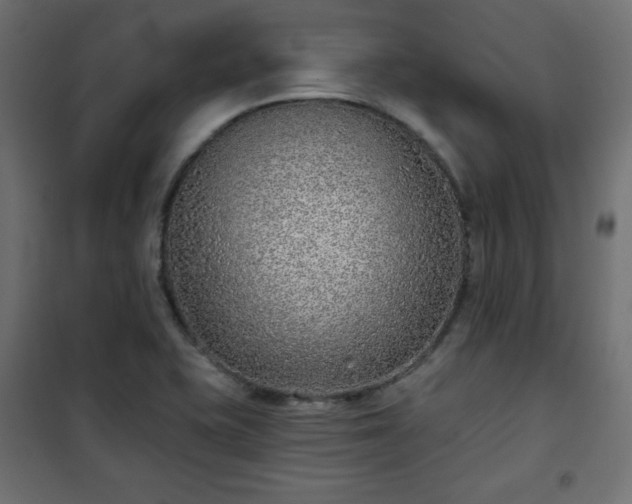 X0000101141415200807071115