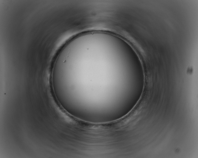 X0000101141416200807071115