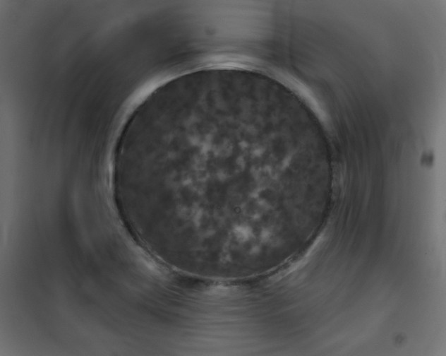 X0000101141419200807071115